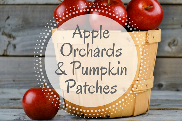 apple orchards pumpkin patches iowa city