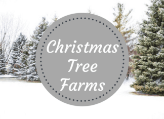 Where to find a christmas tree near iowa city