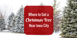 where to get a christmas tree near Iowa City: Christmas Tree Farms and stores