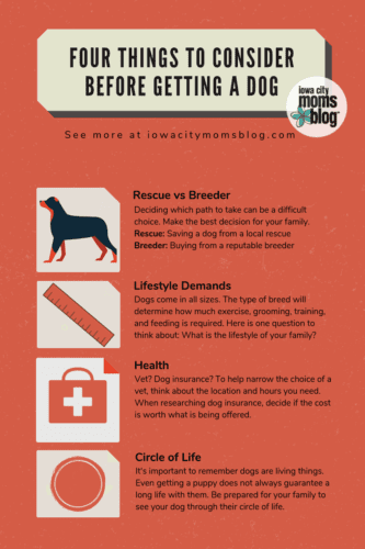 4 Things to Consider Before Getting a Dog Iowa City Moms Blog Infographic
