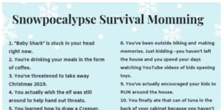 Snow Day Survival Momming Snowpocolypse Game