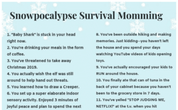 Snow Day Survival Momming Snowpocolypse Game
