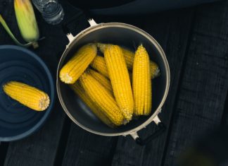 sweet corn recipes - chowder and cornbread