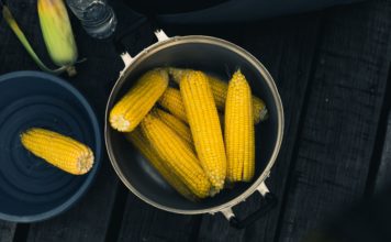 sweet corn recipes - chowder and cornbread