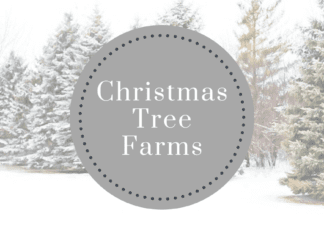 Christmas tree farms near Iowa City