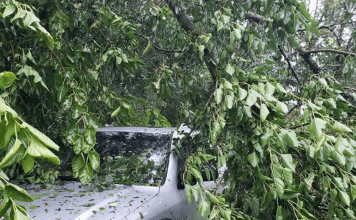 A tree on a car following the derecho storm in Iowa.