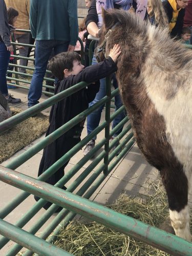 Photo: child petting a horse at a Purim carnival