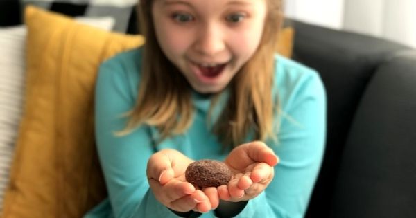 Cocoa Drop Cookie Recipe (from a Mom Who Hates Baking)