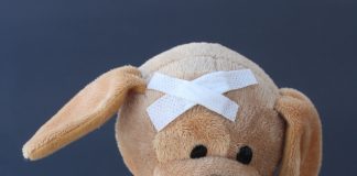 Injured stuffed animal representing Nursemaid’s Elbow