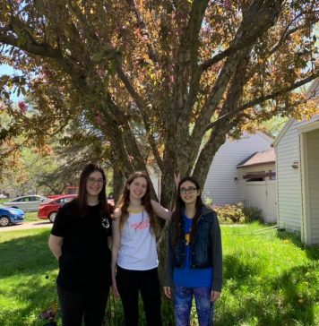 three young women in front of a tree
