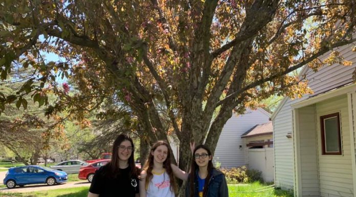 three young women in front of a tree