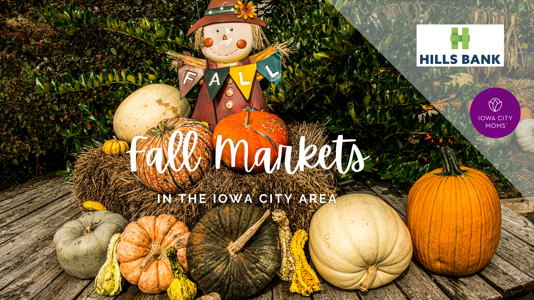 Graphic: Fall Markets in the Iowa City Area