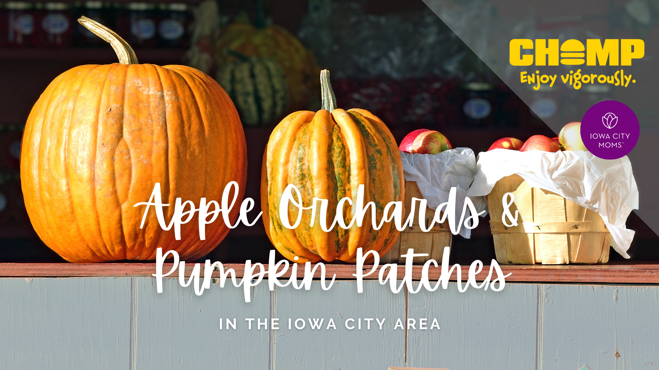 Apple Orchards and Pumpkin Patches in the Iowa City Area