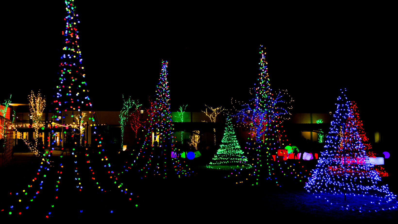 An outdoor light display: Christmas lights in the Iowa City area