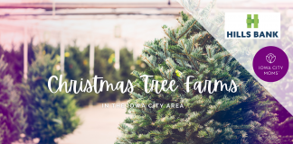 Graphic: Where to Find Christmas Trees in the Iowa City area